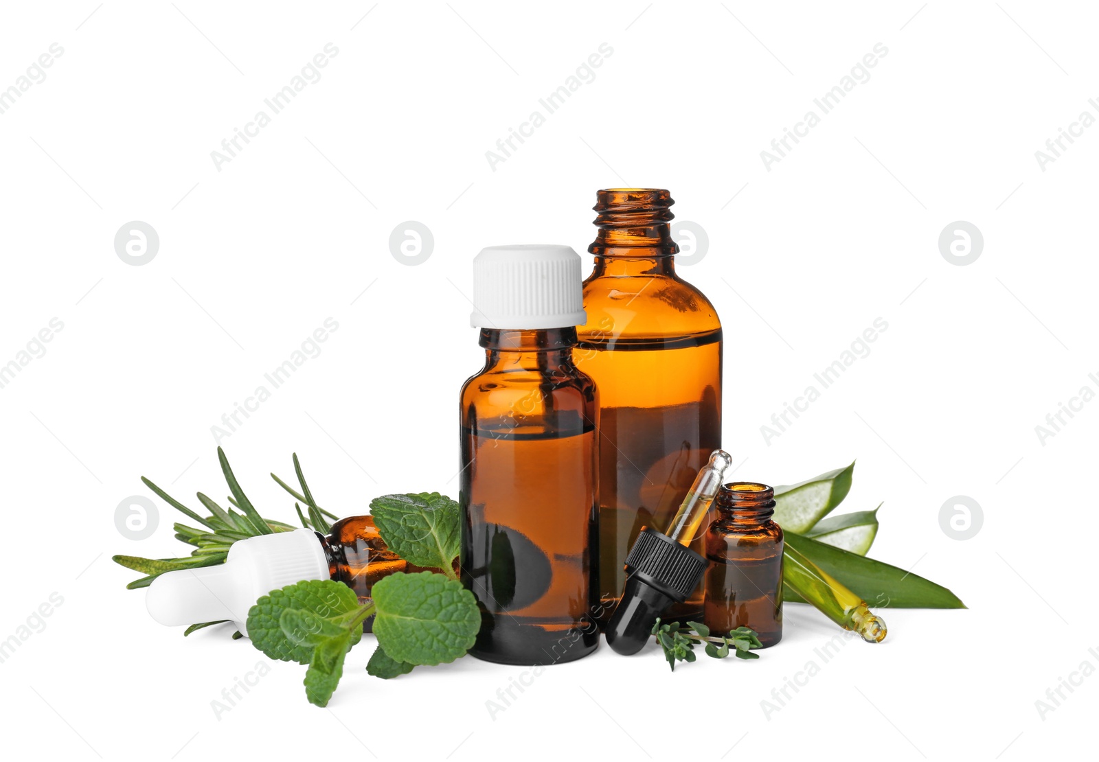 Photo of Bottles with essential oils and fresh herbs on white background