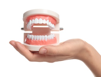Photo of Woman holding educational model of oral cavity with teeth on white background