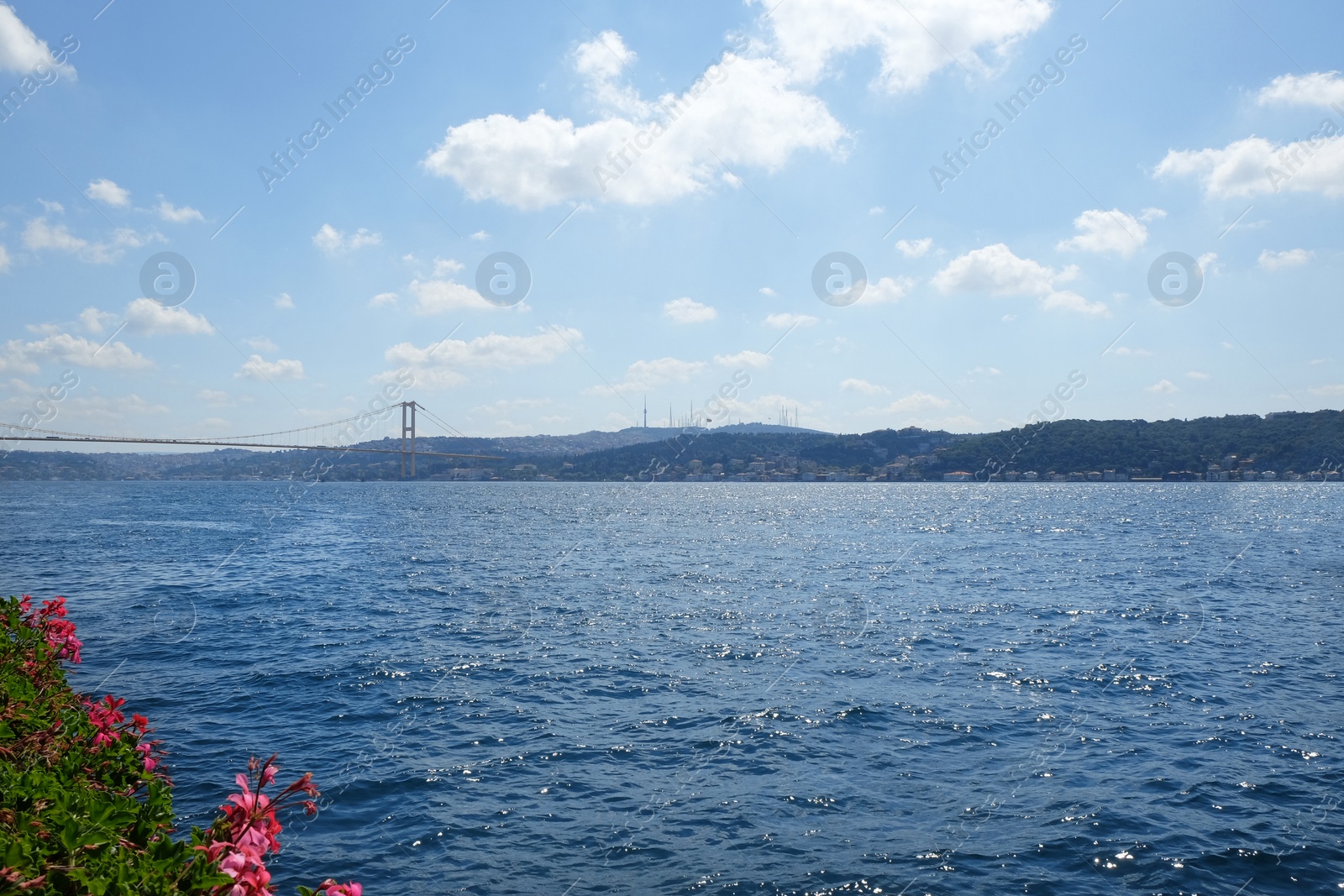 Photo of Beautiful view of sea and blue sky on sunny day