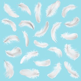 Image of Fluffy bird feathers falling on light blue background