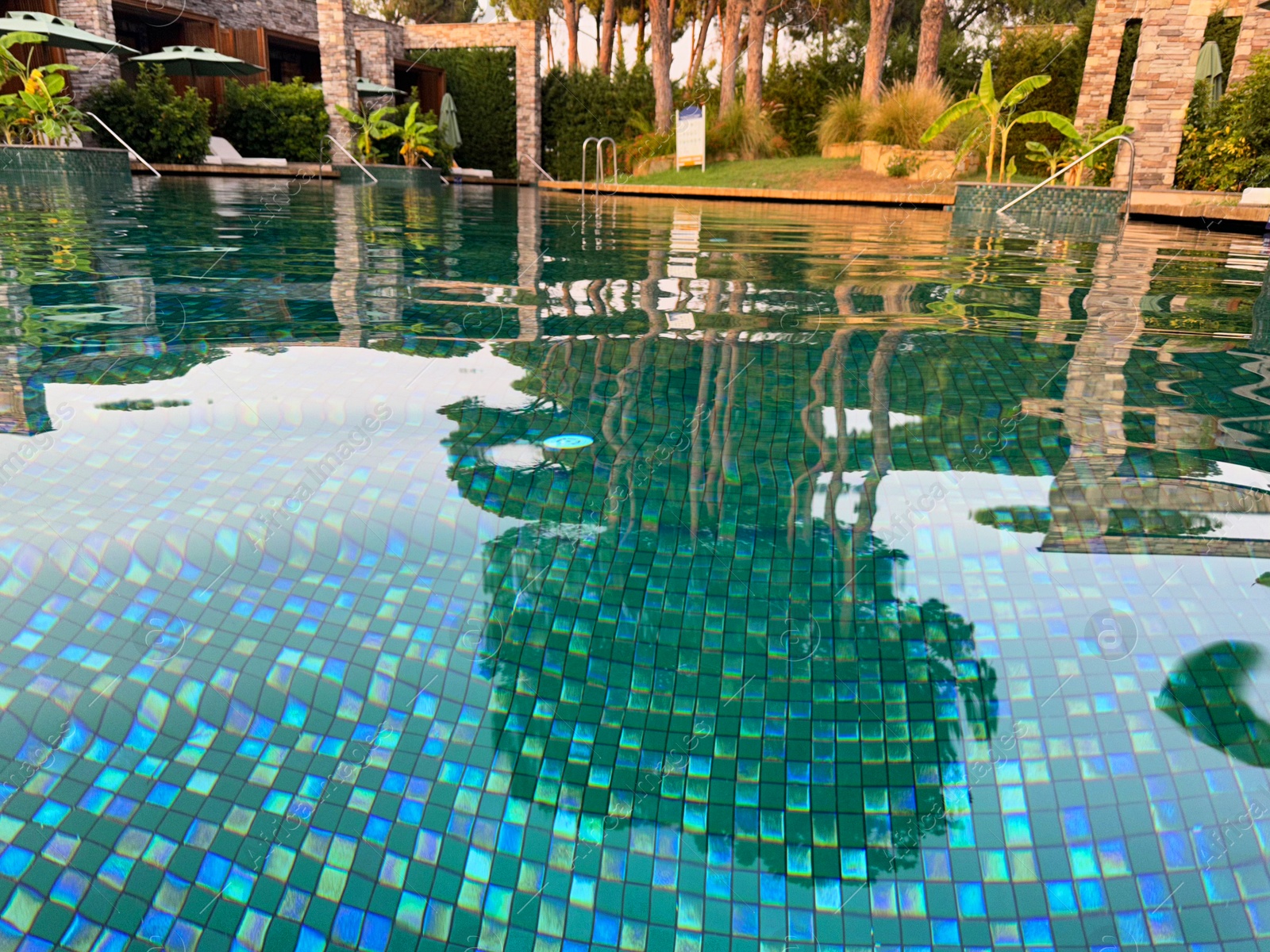 Photo of Swimming pool and exotic plants at luxury resort