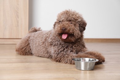 Photo of Cute Toy Poodle dog near feeding bowl indoors
