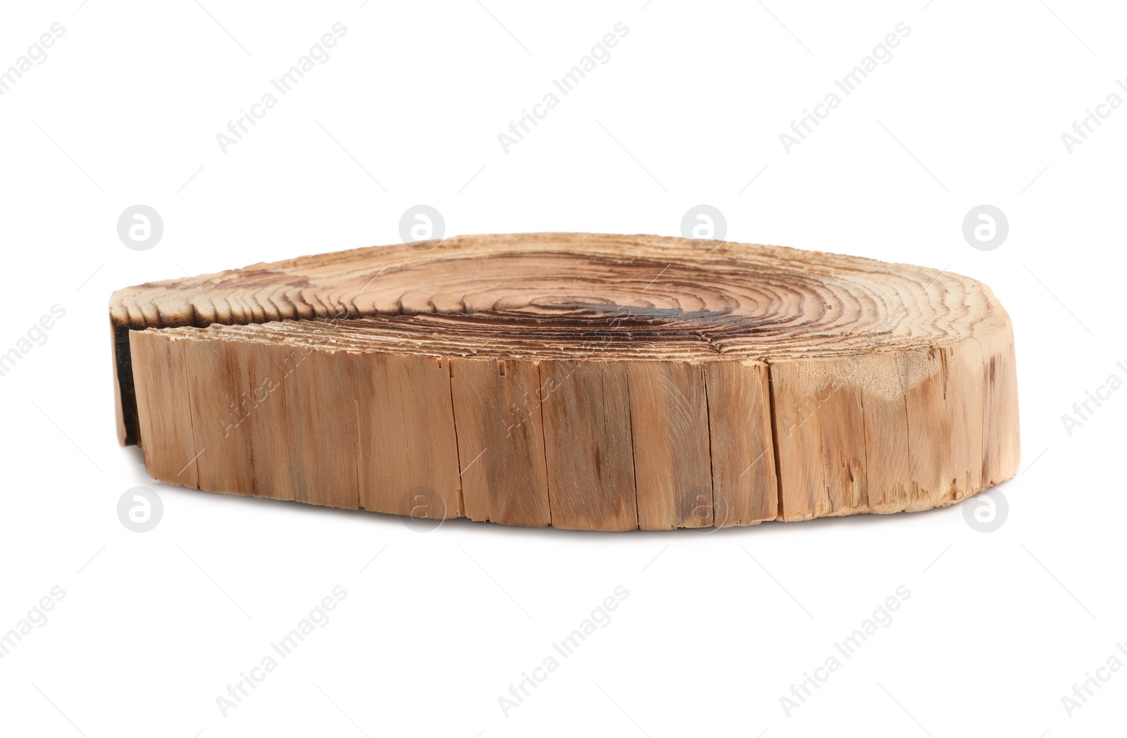 Photo of Cracked tree stump as decorative stand isolated on white