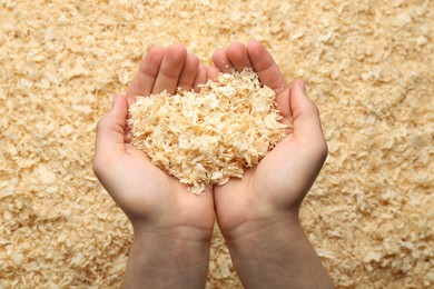 Woman holding dry natural sawdust, top view