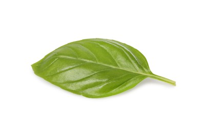 Photo of One green basil leaf isolated on white