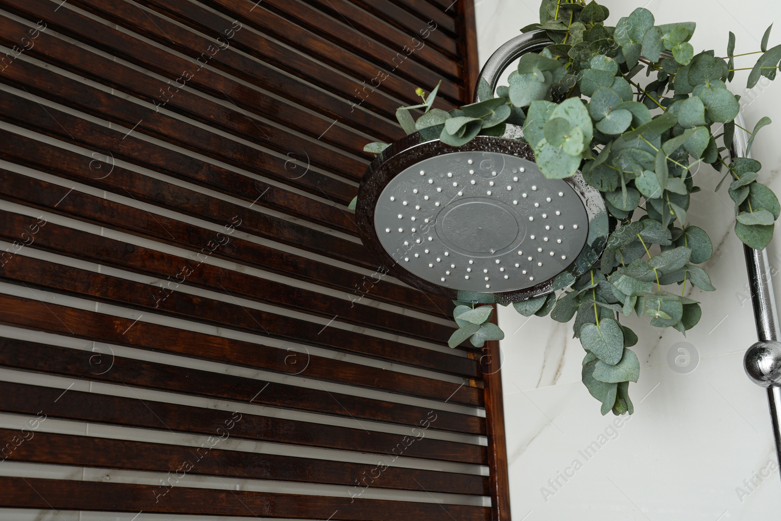 Photo of Branches with green eucalyptus leaves in shower, space for text