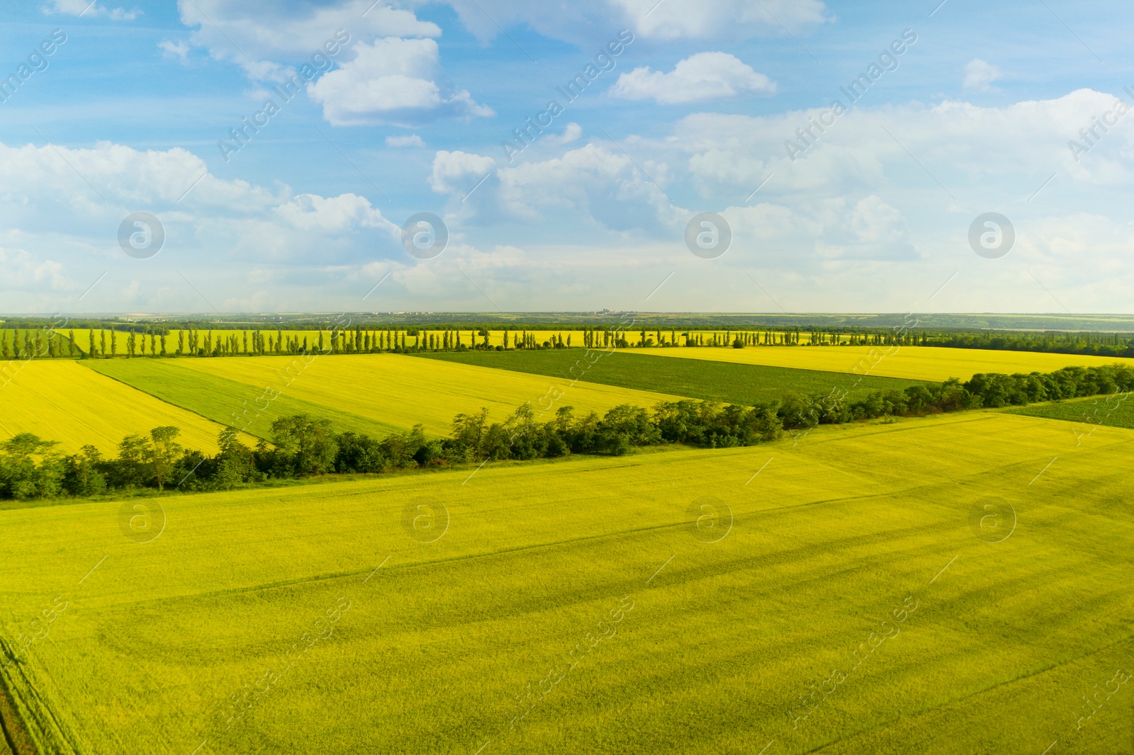 Image of Beautiful aerial view of fields and blue sky