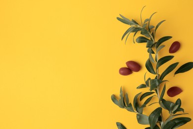 Photo of Fresh olives and green leaves on yellow background, flat lay. Space for text
