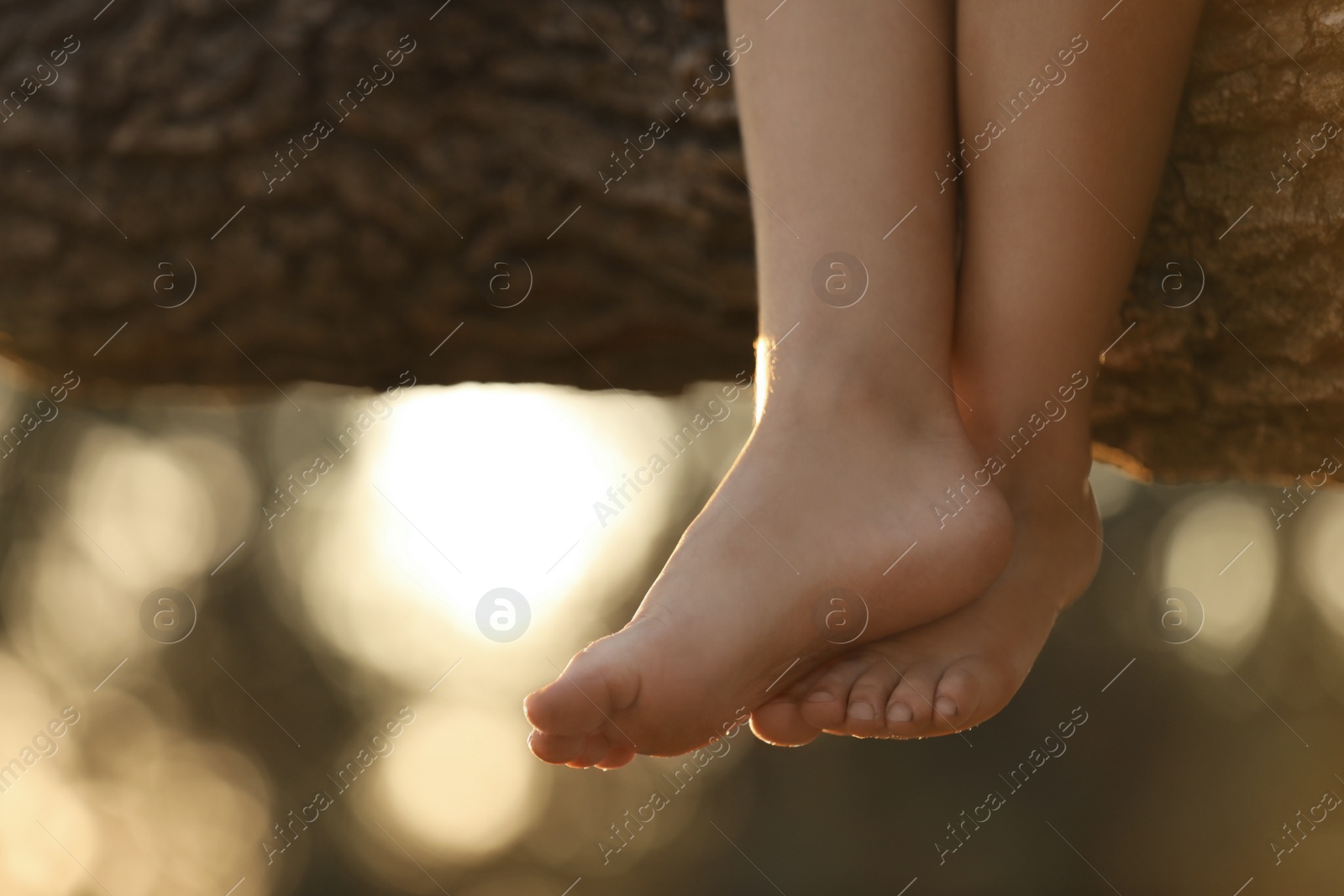 Photo of Little girl sitting on tree outdoors, closeup. Child spending time in nature