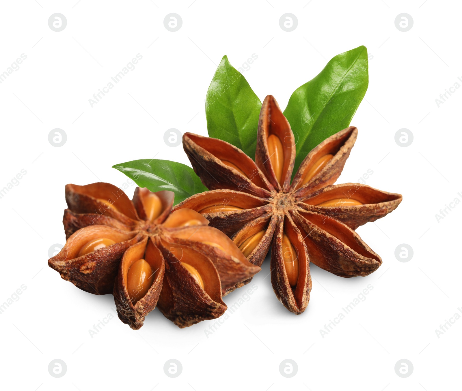 Image of Aromatic dry anise stars and green leaves on white background