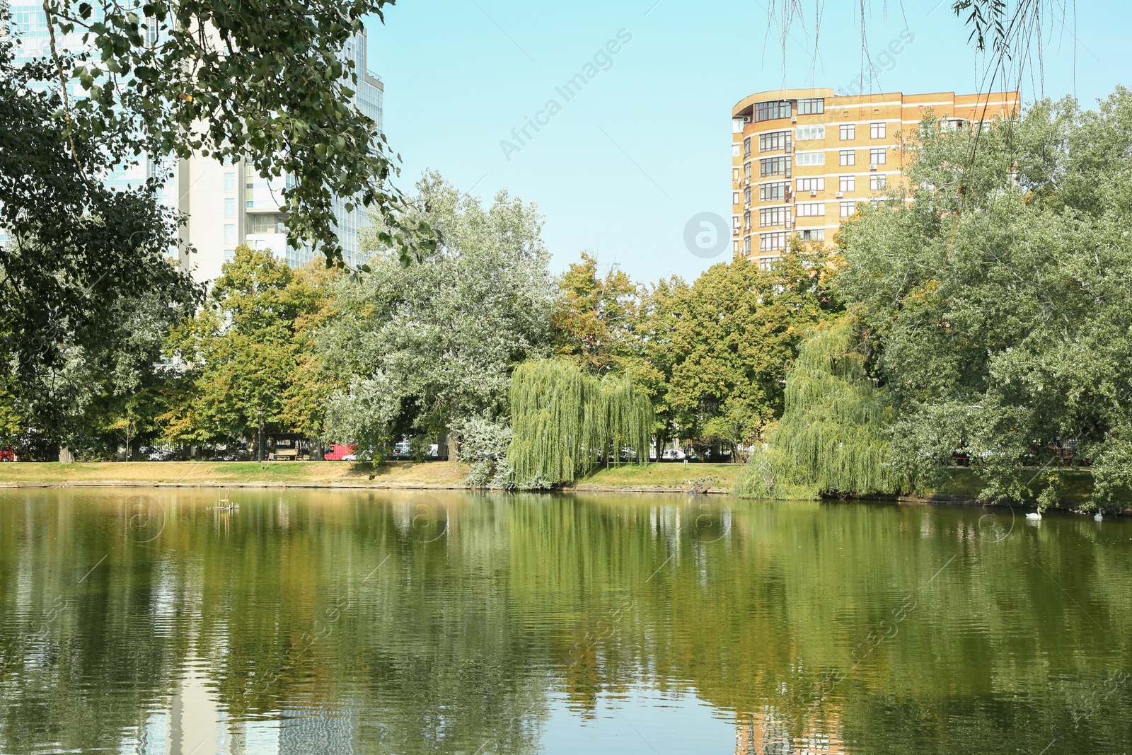 Photo of Quiet park with trees and lake on sunny day