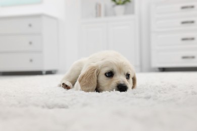 Photo of Cute little puppy lying on white carpet at home