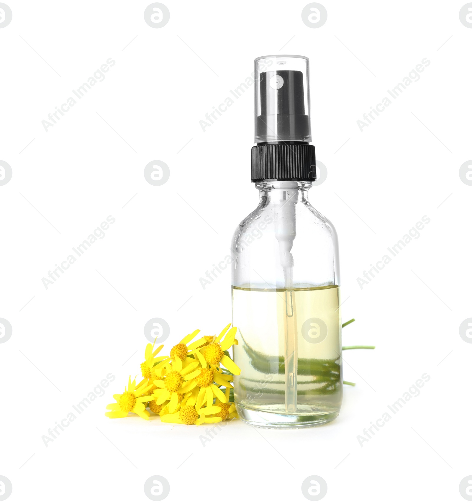 Photo of Bottle of herbal essential oil and flowers isolated on white