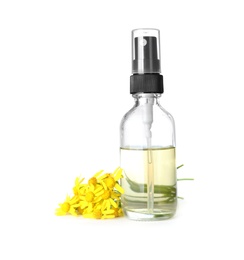 Bottle of herbal essential oil and flowers isolated on white