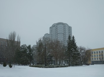 Photo of Beautiful tall trees covered with snow near modern building on winter day