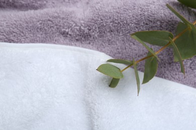 Photo of Eucalyptus branch on terry towels, closeup. Space for text