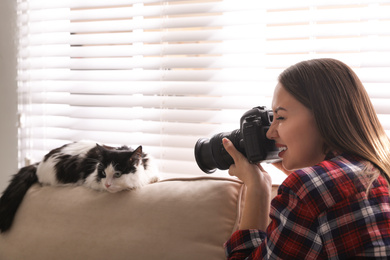 Photo of Professional animal photographer taking picture of beautiful cat at home