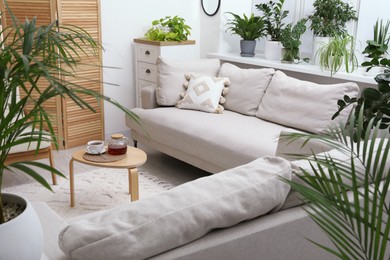 Photo of Stylish room with different potted green plants and comfortable sofa. Interior design