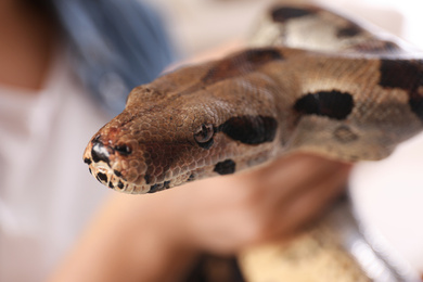 Photo of Woman with her boa constrictor, closeup view. Exotic pet