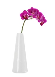 Photo of Orchid branch with beautiful flowers in vase on white background