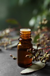 Photo of Bottle of eucalyptus essential oil and plant branches on grey table