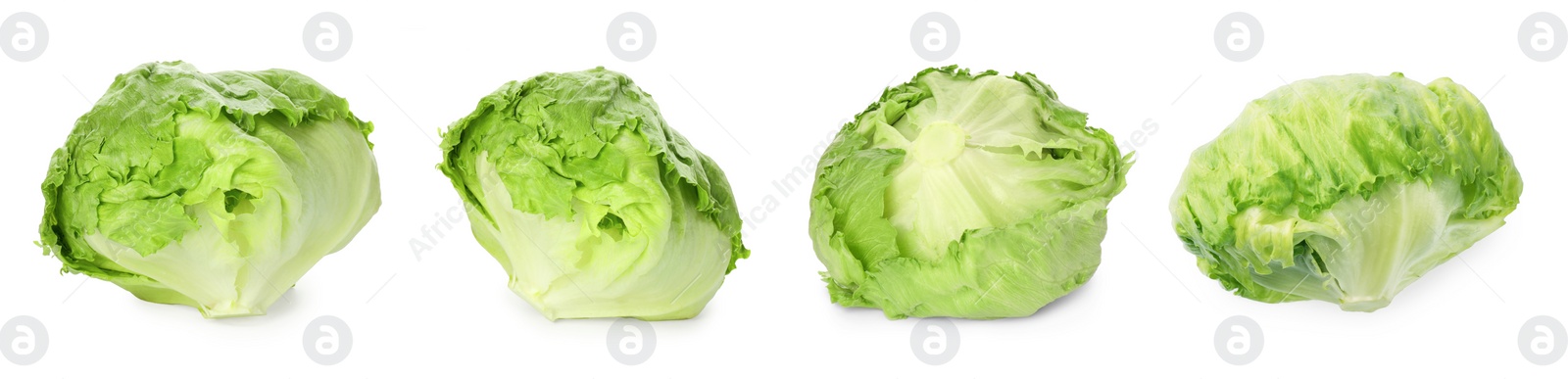 Image of Collage with fresh iceberg lettuce heads on white background