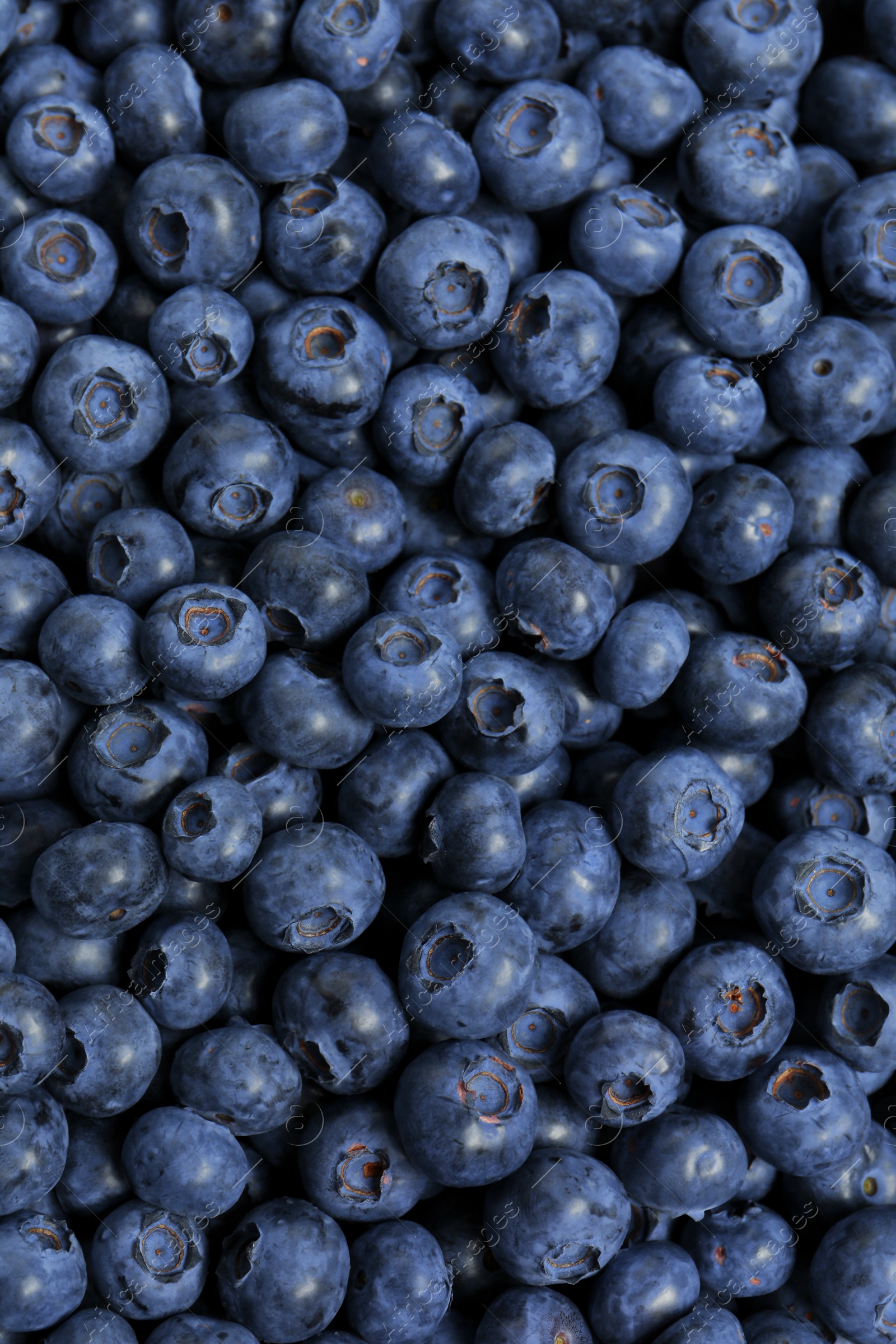 Photo of Tasty fresh blueberries as background, top view