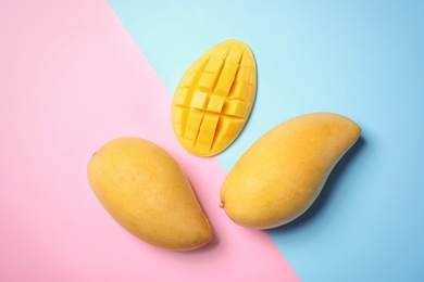 Photo of Flat lay composition with mango fruits on color background