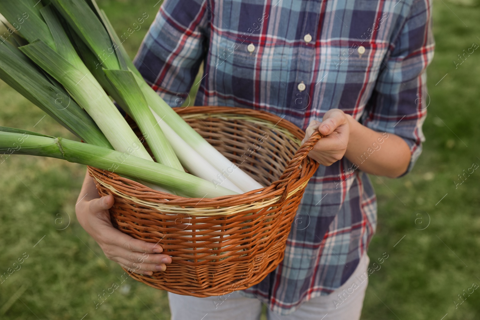 Photo of Woman holding wicker basket with fresh raw leeks outdoors, closeup