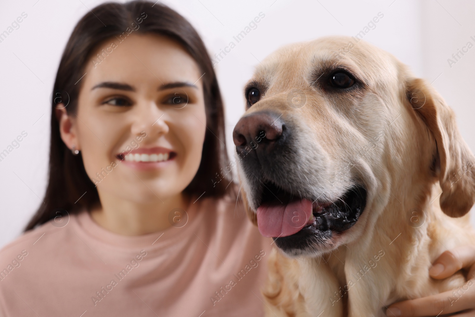 Photo of Happy woman with cute Labrador Retriever at home, closeup