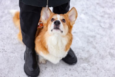 Woman with adorable Pembroke Welsh Corgi dog on snow, above view