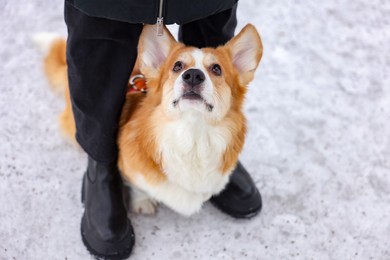 Photo of Woman with adorable Pembroke Welsh Corgi dog on snow, above view