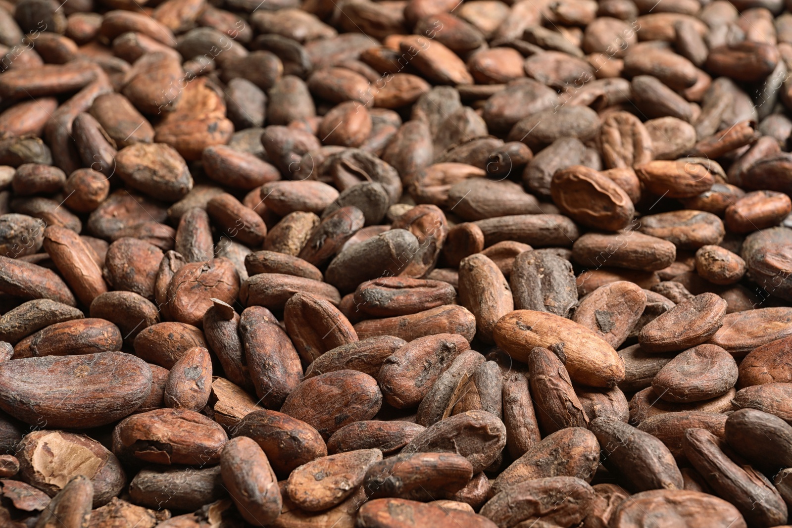Photo of Tasty cocoa beans as background, closeup view
