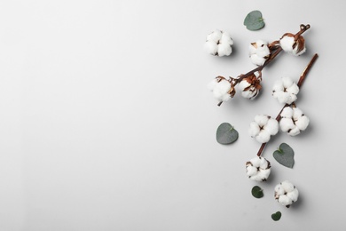 Photo of Flat lay composition with cotton flowers on light grey background. Space for text