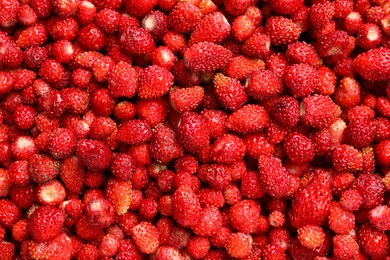 Photo of Many fresh wild strawberries as background, top view