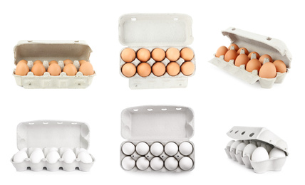 Image of Set of fresh eggs on white background