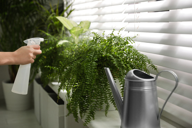 Photo of Woman spraying plants near window at home, closeup