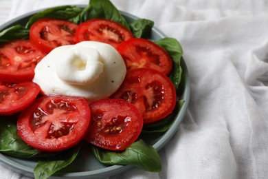 Delicious burrata cheese with tomatoes and basil on plate, closeup. Space for text