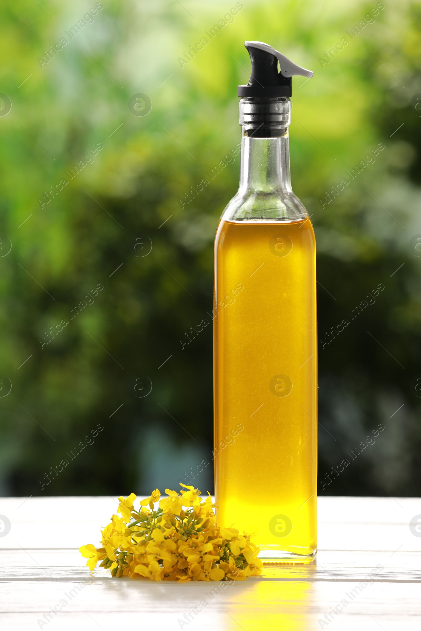 Photo of Rapeseed oil in glass bottle and yellow flowers on white wooden table outdoors