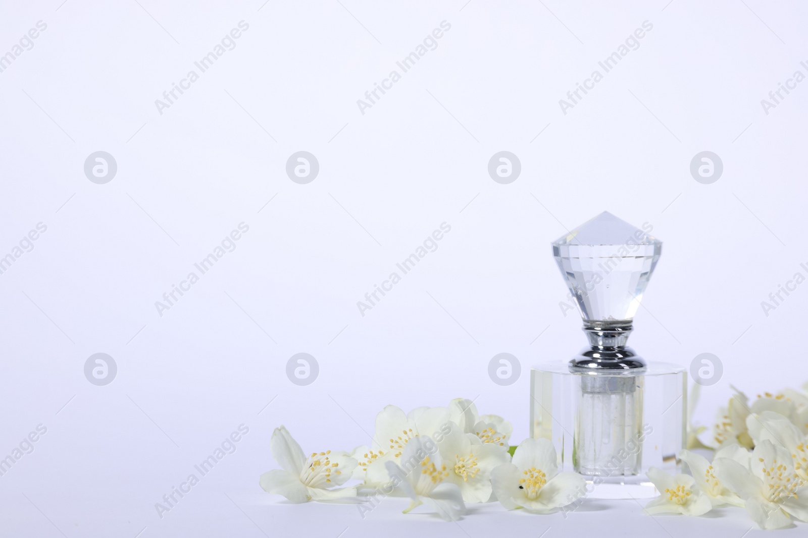 Photo of Aromatic perfume in bottle and beautiful jasmine flowers on white background, space for text