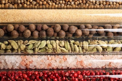 Photo of Glass tubes with different spices, closeup view