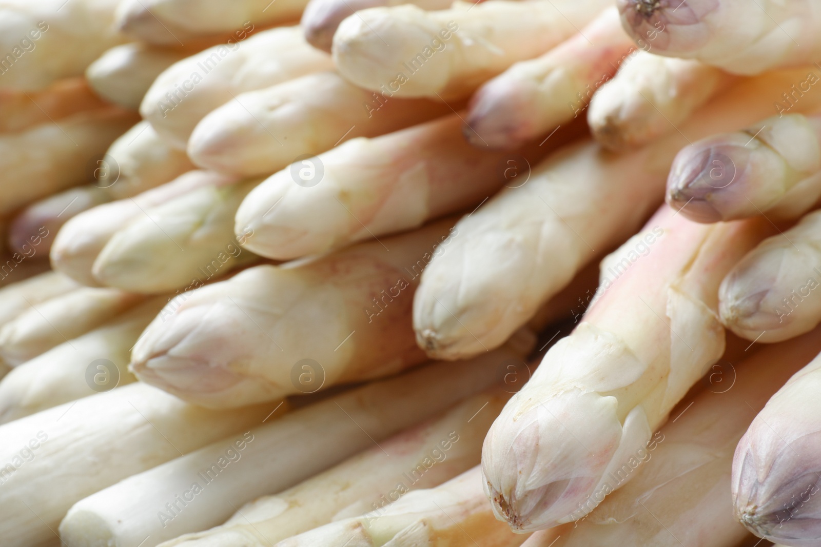 Photo of Fresh ripe white asparagus as background, closeup