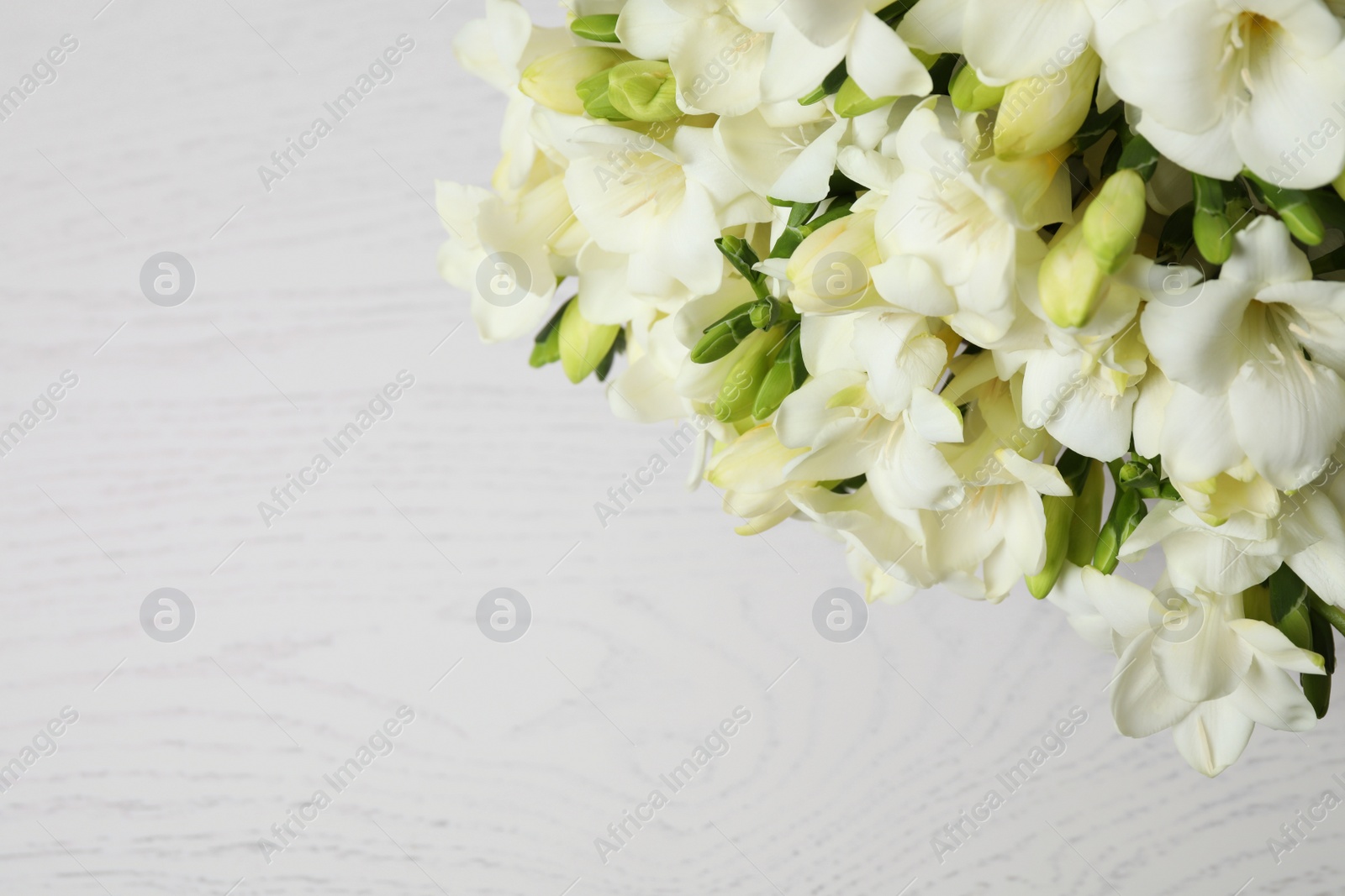 Photo of Beautiful freesia flowers on white wooden background, above view. Space for text