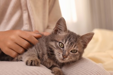 Photo of Cute little girl with kitten on bed indoors, closeup. Childhood pet