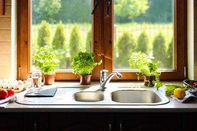 Photo of Kitchen counter with sink, potted herbs and fresh products near window on sunny morning