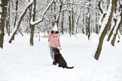 Photo of Woman playing with adorable Labrador Retriever dog in snowy park