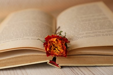 Photo of Book with beautiful dried flower on wooden table, closeup