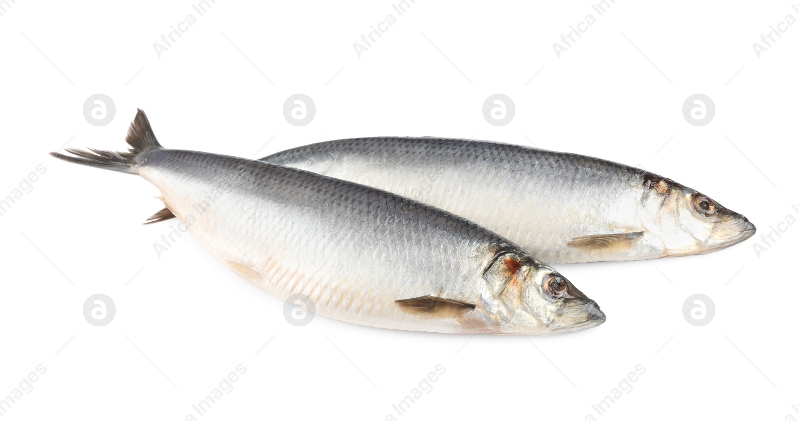 Photo of Whole delicious salted herrings isolated on white