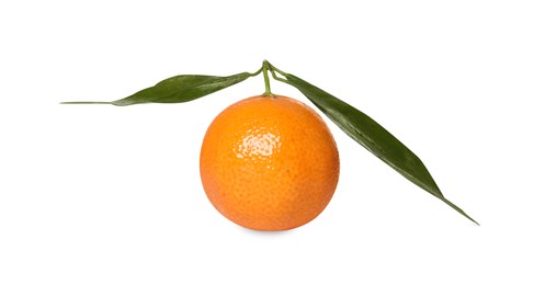 Photo of One fresh tangerine with green leaves isolated on white