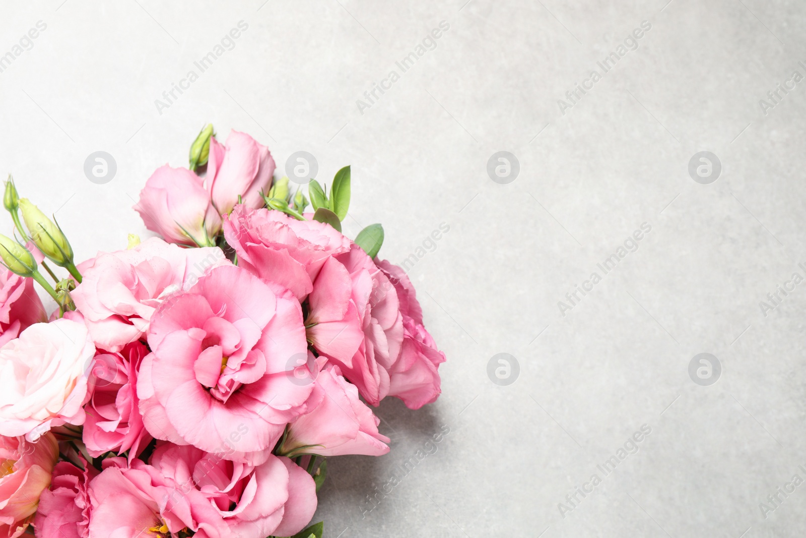 Photo of Beautiful bouquet of pink Eustoma flowers on light grey background, top view. Space for text